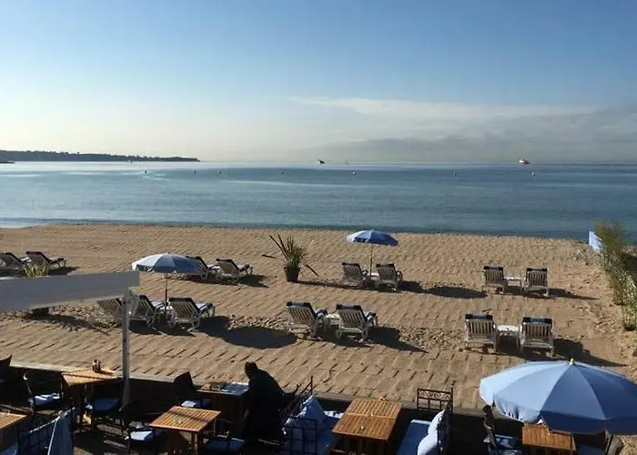 Le Minerve Daire Cannes